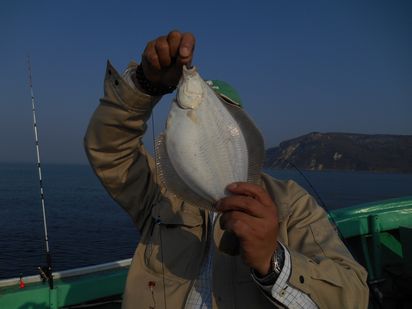 小樽　小樽沖　カレイ