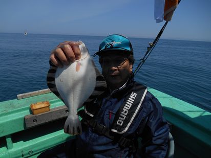 小樽　小樽沖　カレイ