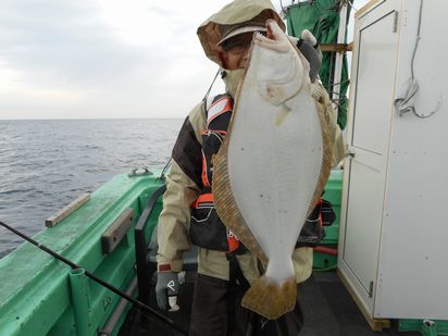 小樽　小樽沖　ヒラメ