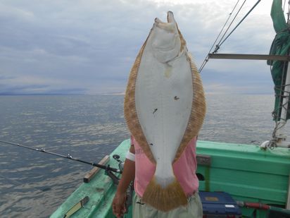 小樽　小樽沖　ヒラメ釣り