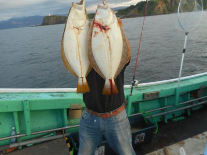 小樽　小樽沖　ヒラメ釣り