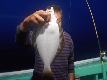 小樽　小樽沖　ヒラメ釣り