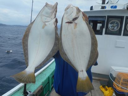 小樽　小樽沖　ヒラメ釣り