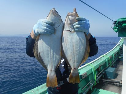 小樽　小樽沖　ヒラメ釣り