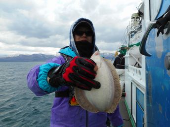 小樽　小樽沖　ヒラメ釣り